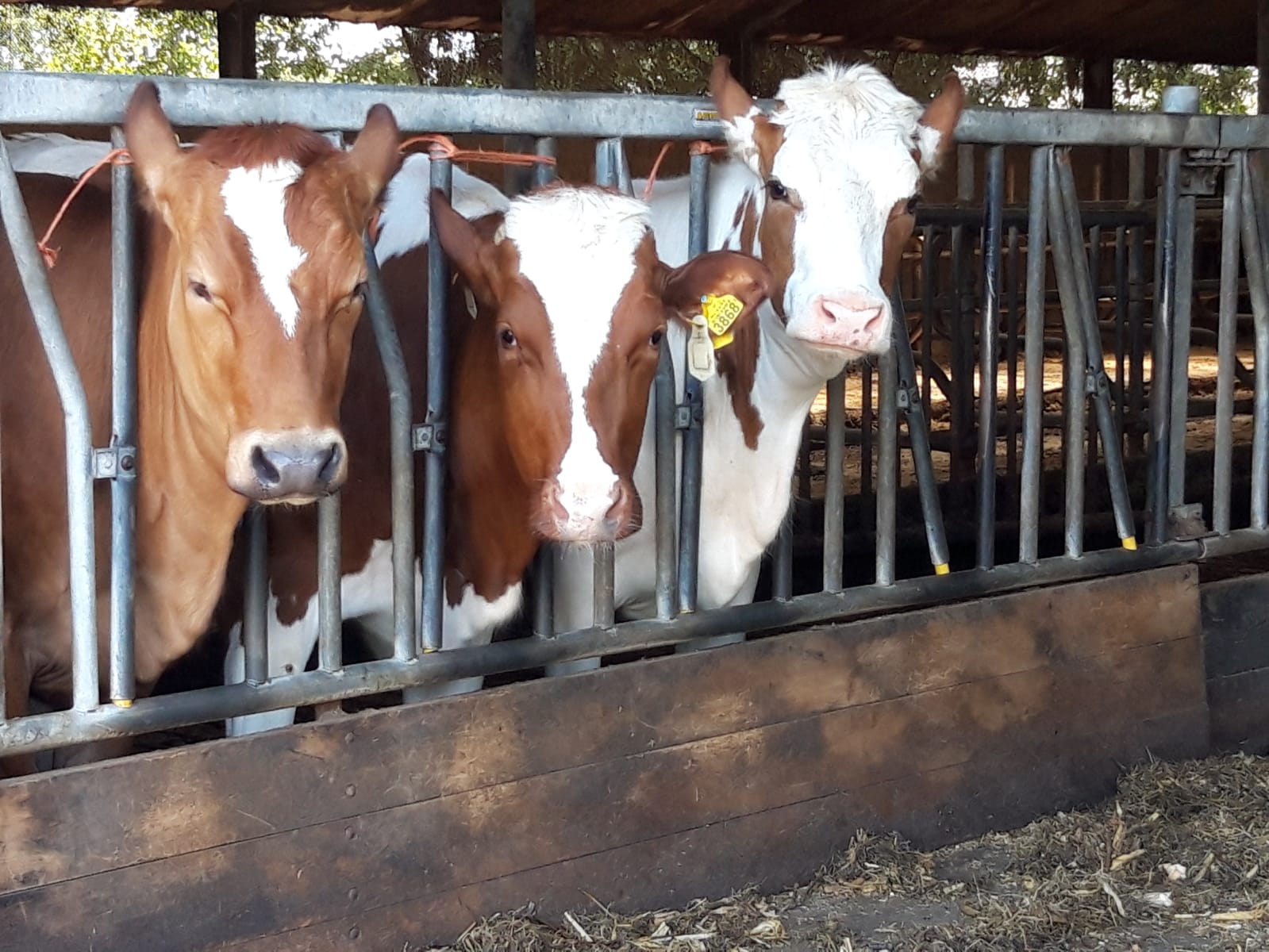 WhatsApp Image 2019-06-14 at 11.47.40